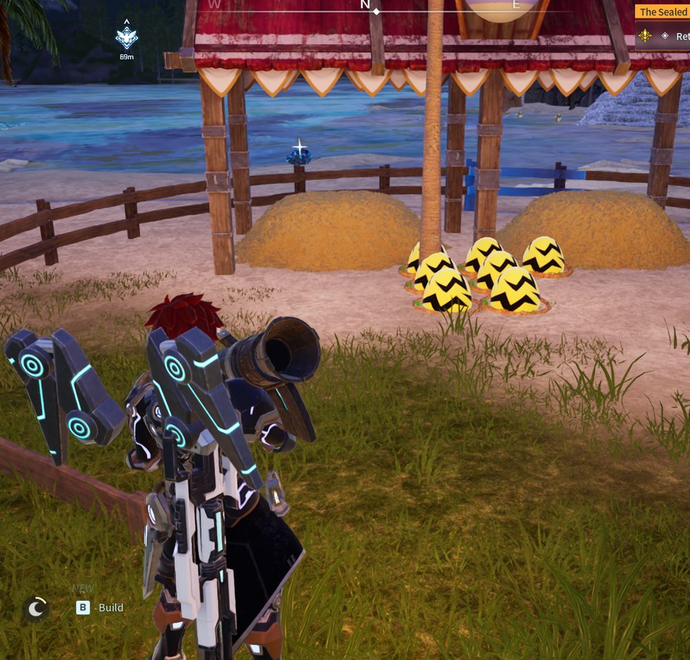 Eggs laid at the Breeding Farm, ready to collect