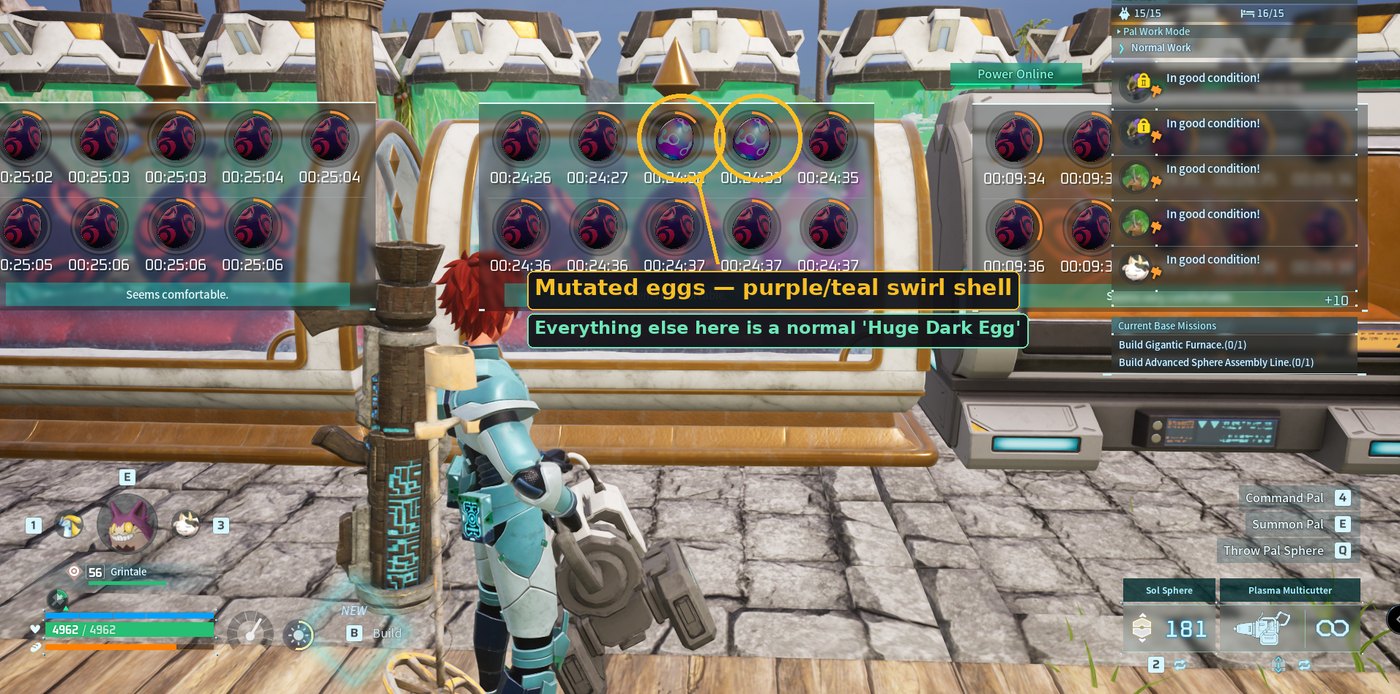 Banks of powered Electric Incubators running egg batches, with the two mutated eggs circled and labeled